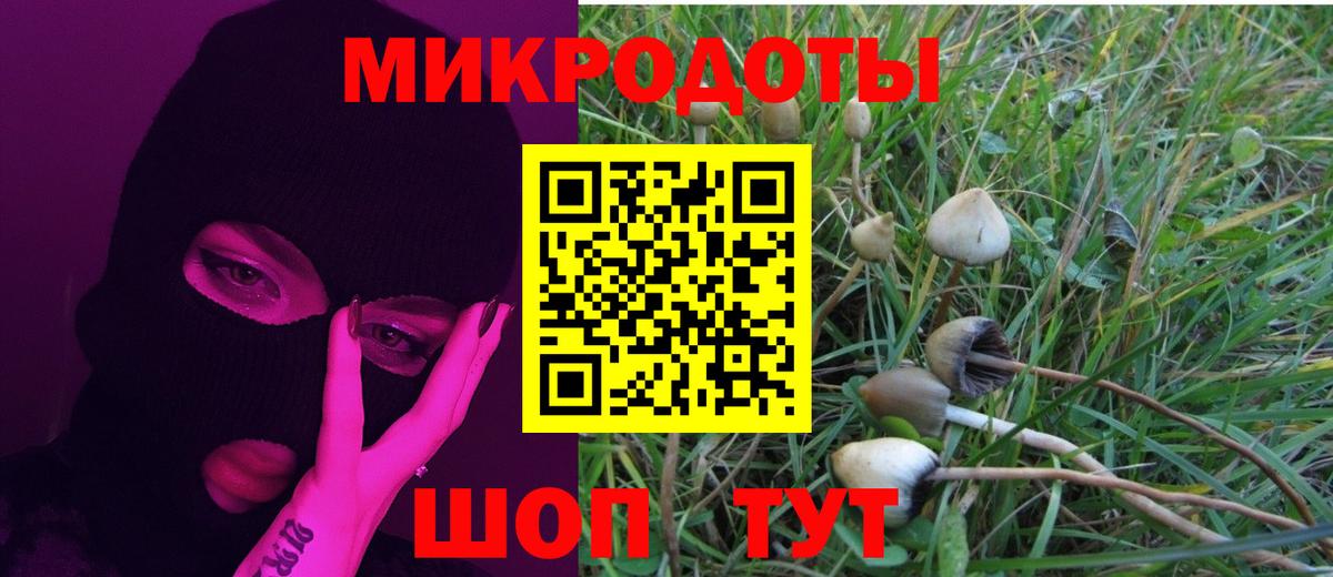Псилоцибиновые грибы GOLDEN TEACHER  Галлюциногенные грибы мицелий  Кашира  Вход с VPN 