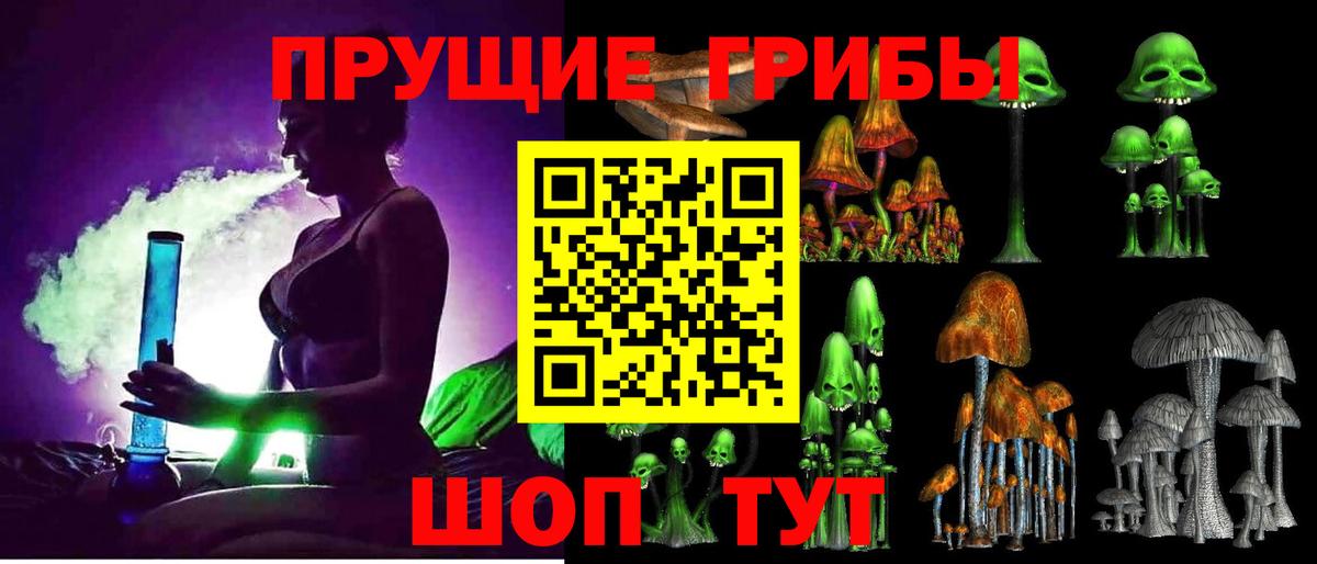 Галлюциногенные грибы Psilocybine cubensis Кашира