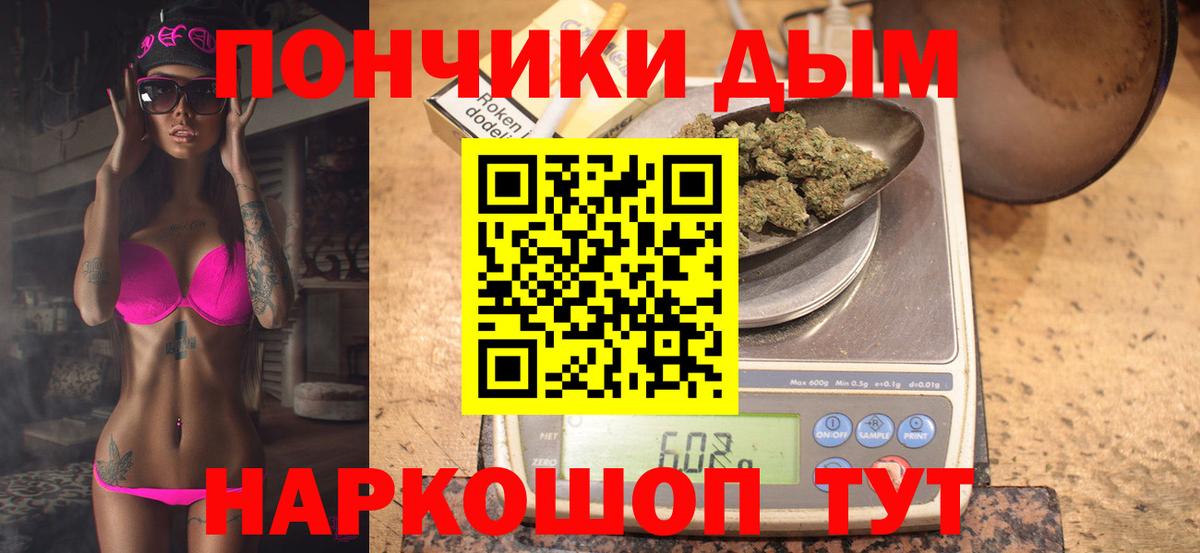 Каннабис OG Kush Кашира